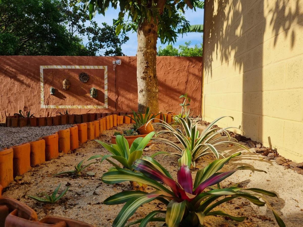 Free Soul House - Localizacao Ideal No Centrinho Alto Paraíso de Goiás Eksteriør billede